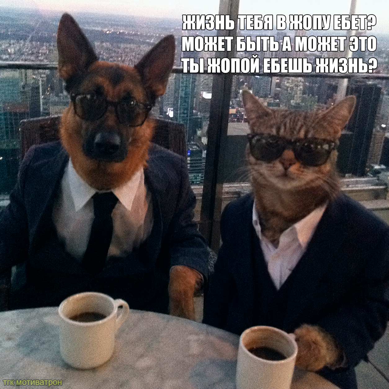 МОЖЕТ МОЖЕТ STO ТЫ ЖОПОЙ ЕБЕШЬ ЖИЗНЬ?