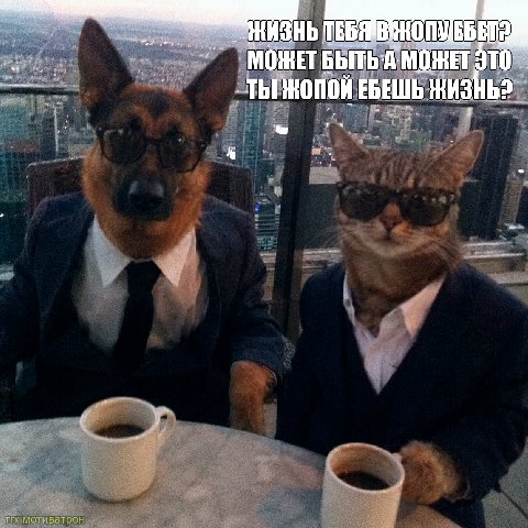МОЖЕТ МОЖЕТ STO ТЫ ЖОПОЙ ЕБЕШЬ ЖИЗНЬ?