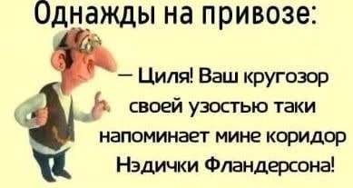 Однажды на привозе: Циля! Ваш кругозор своей узостью таки напоминает мине коридор Нэдички Фландерсона!