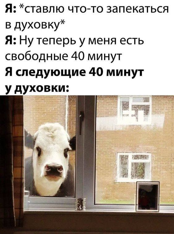 Я: *ставлю что-то запекаться в духовку* Я: Ну теперь у меня есть свободные 40 минут Я следующие 40 минут у духовки: