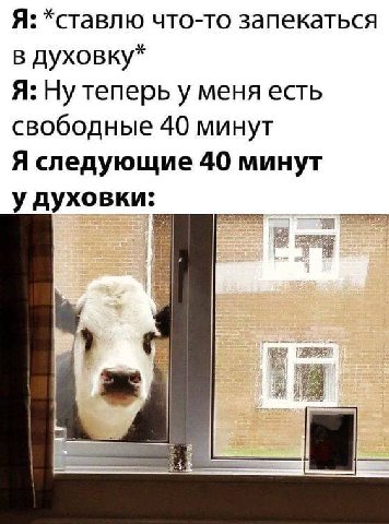Я: *ставлю что-то запекаться в духовку* Я: Ну теперь у меня есть свободные 40 минут Я следующие 40 минут у духовки: