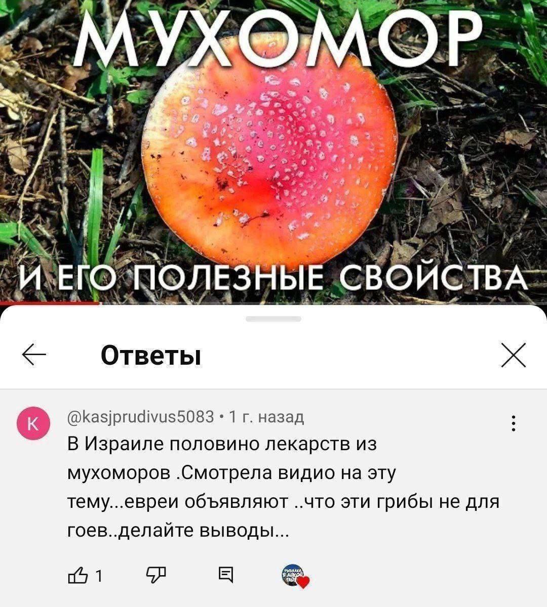4 3. 1 ОЛЕЗНЫЕ СВОИСТ Ответы @kasjprudivus5083 1 назад В Израиле половино лекарств из мухоморов видио на эту тему...евреи объявляют ..что эти грибы не для гоев..делайте выводы... 1