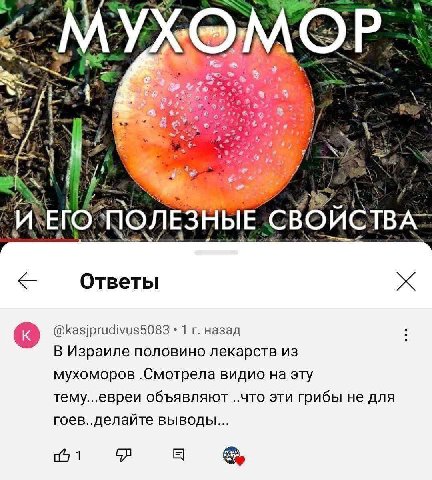 4 3. 1 ОЛЕЗНЫЕ СВОИСТ Ответы @kasjprudivus5083 1 назад В Израиле половино лекарств из мухоморов видио на эту тему...евреи объявляют ..что эти грибы не для гоев..делайте выводы... 1