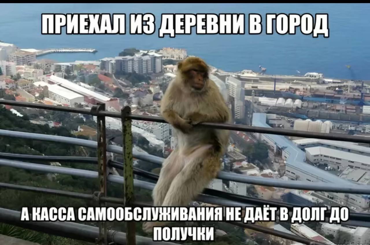 ПРИЕКАЛ ИЗ ДЕРЕВНИ В ГОРОД. А КАССА САМООБСЛУЖИВАНИЯ НЕ ДОЛГ ДО