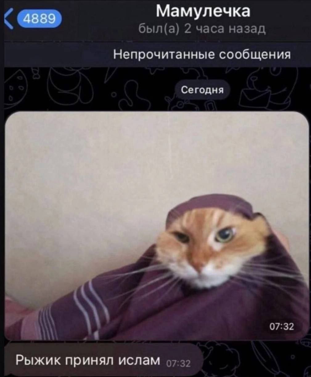 Мамулечка был(а) 2 часа назад Непрочитанные сообщения Сегодня 07:32 Рыжик принял ислам