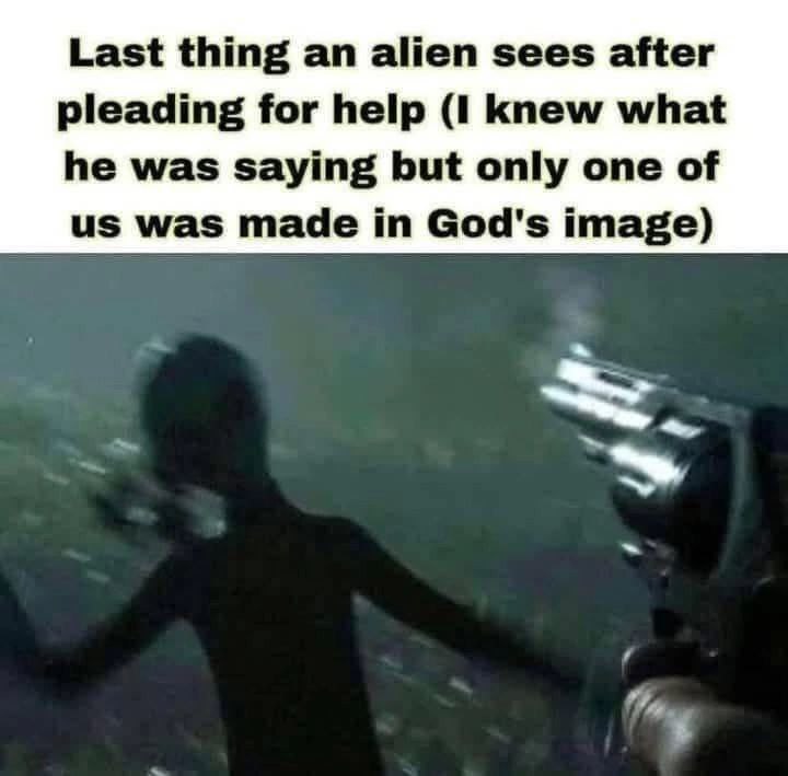 Last thing an alien sees after pleading for help (1 knew what he was saying but only one of was made in God's image)