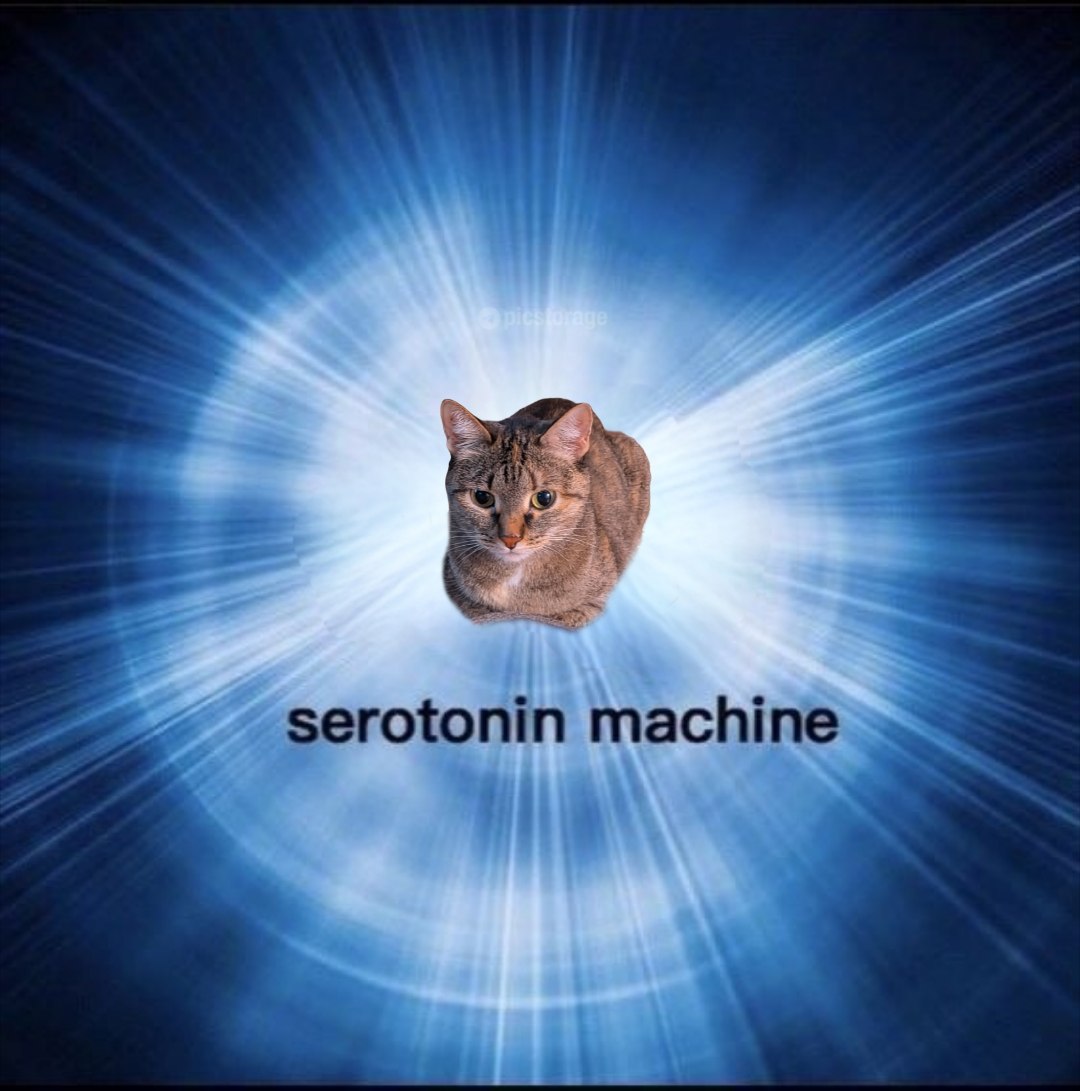 моя.