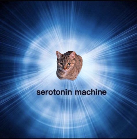 моя.