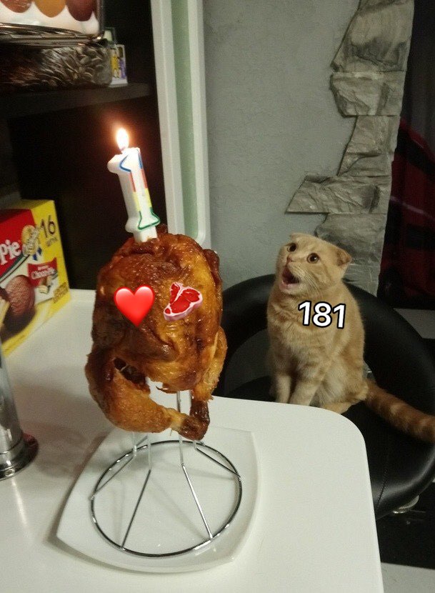 181