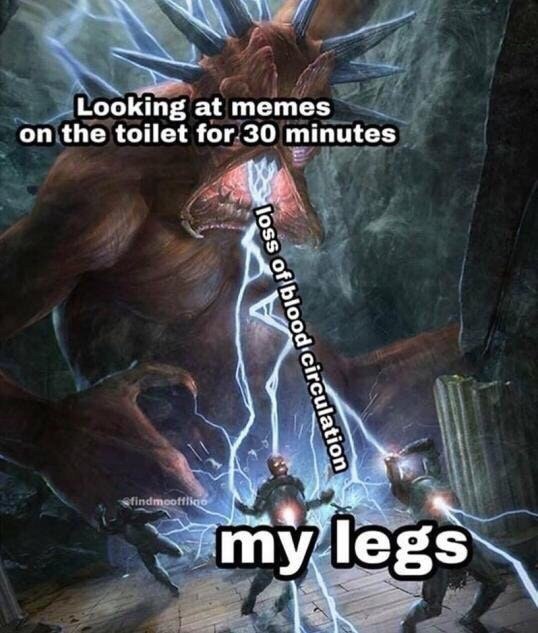 Looking at memes on the toilet for.30 minutes 5. о о о.