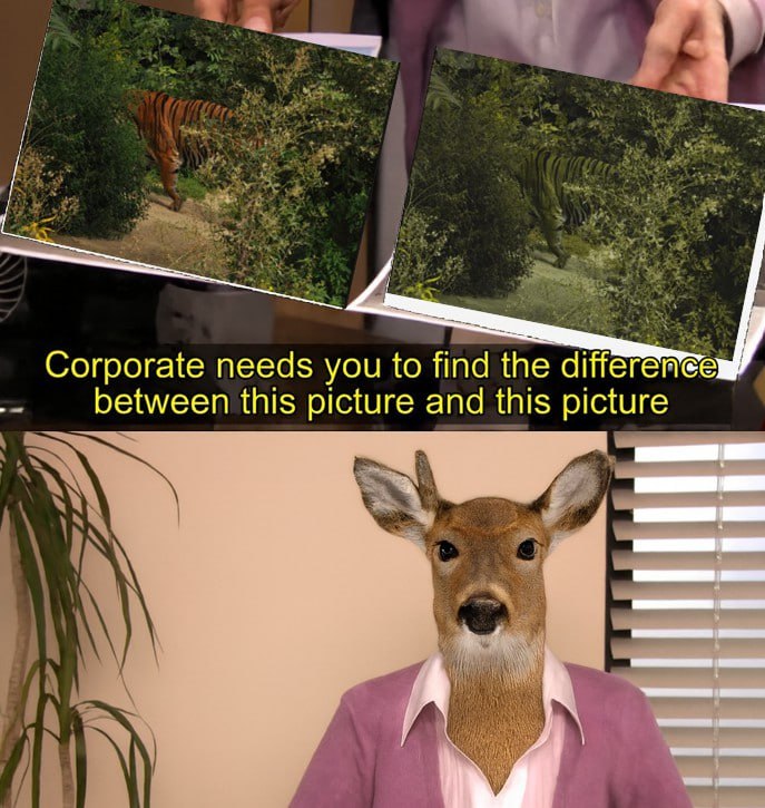 Corporate needs you to find the between this picture and this picture A