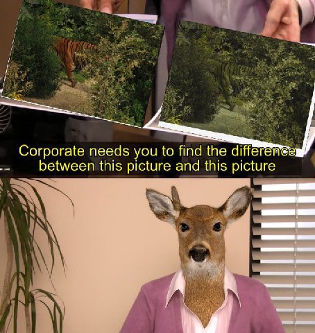 Corporate needs you to find the between this picture and this picture A