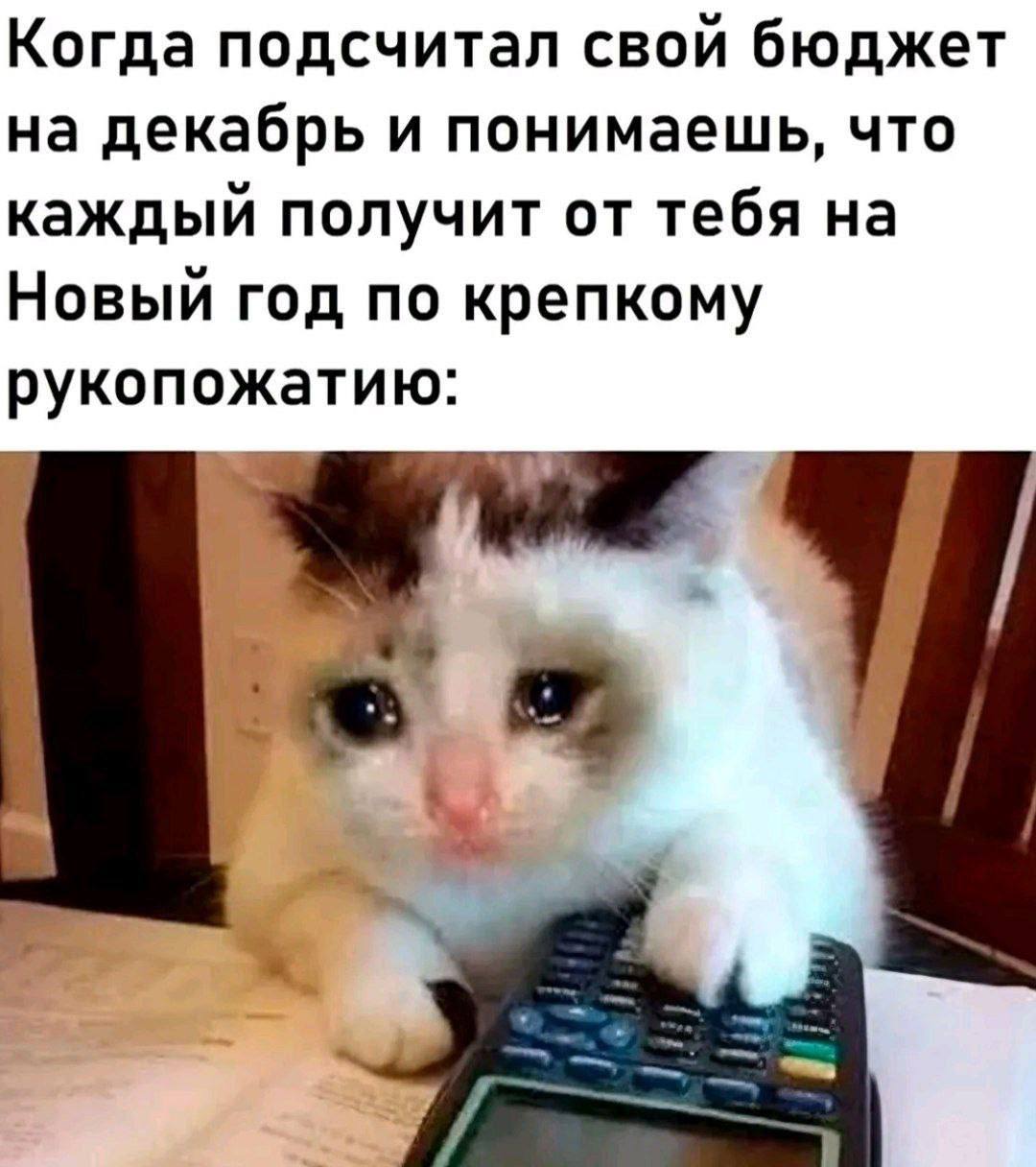 Когда подсчитал свой бюджет на декабрь и понимаешь, что каждый получит от тебя на Новый год по крепкому рукопожатию: 4