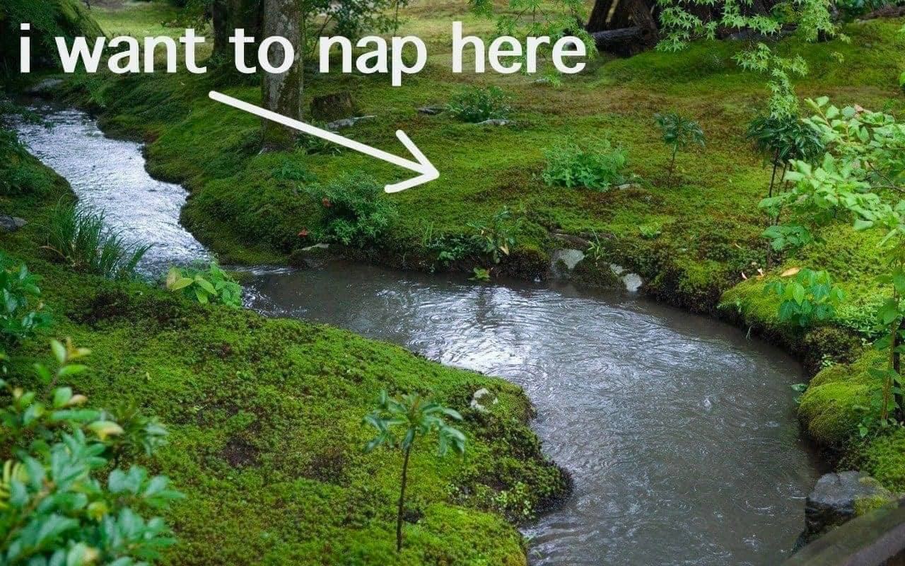 want to пар here