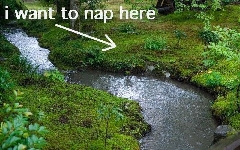 want to пар here