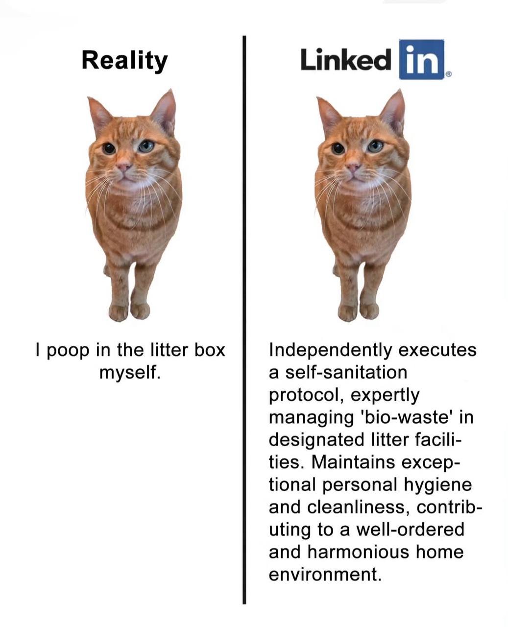 Reality in ked poop in the litter box Independently executes myself. a self-sanitation protocol, expertly managing 'bio-waste' in designated litter facili- ties. Maintains excep- tional personal hygie