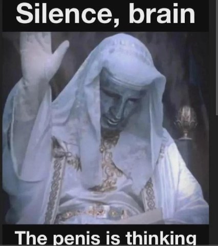 Silence, brain The penis is thinkinc