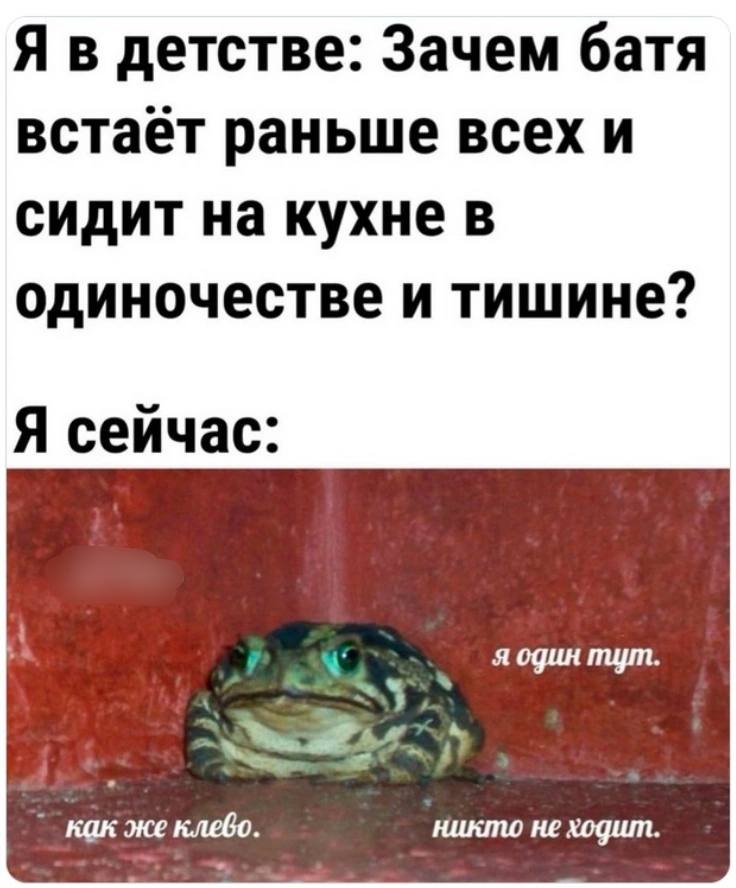 детстве: Зачем батя встаёт раньше всех и сидит на кухне в одиночестве и тишине? Я сейчас: я один mym как же клево никто не ходит