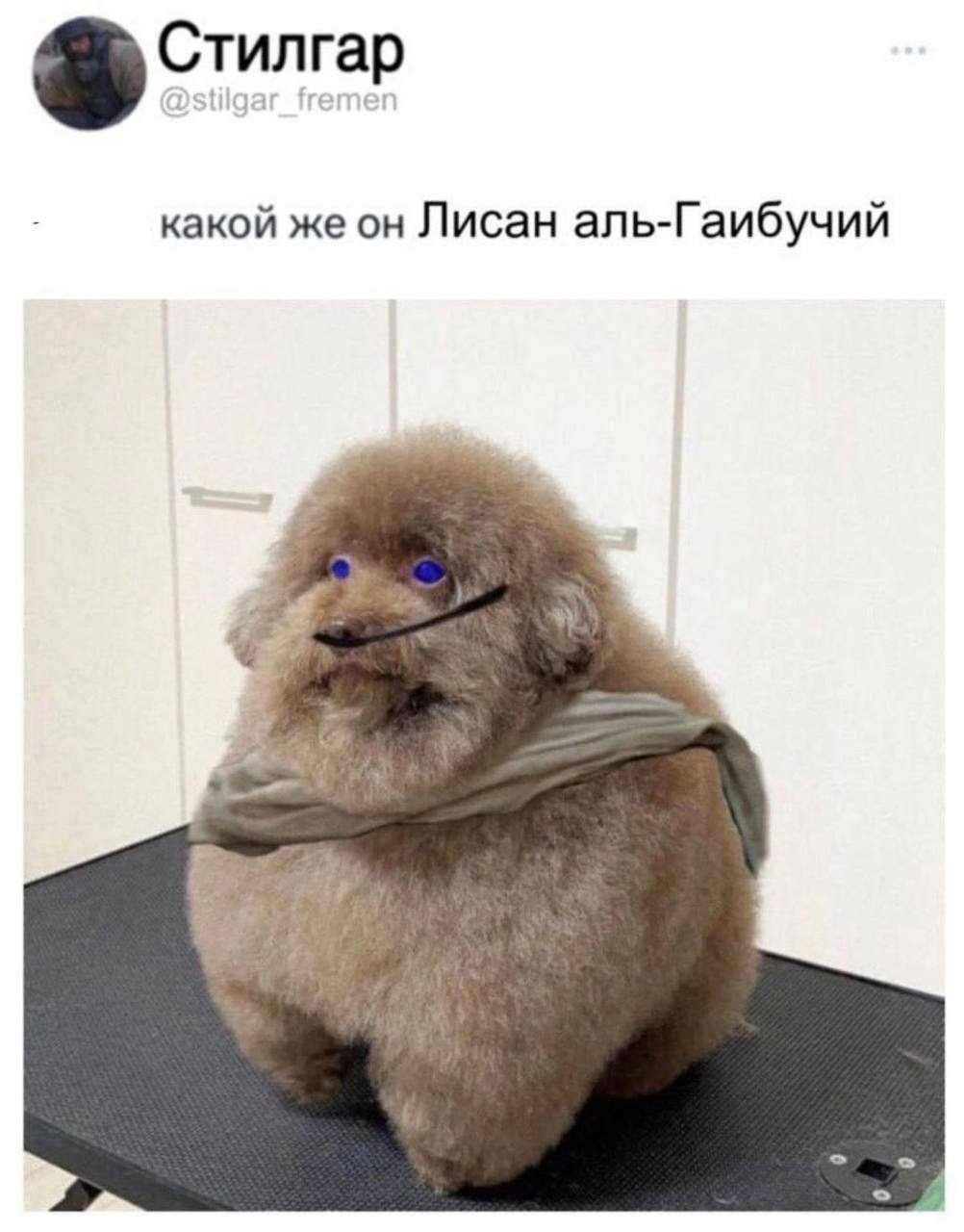 Стилгар какой же он Лисан аль-Гаибучий