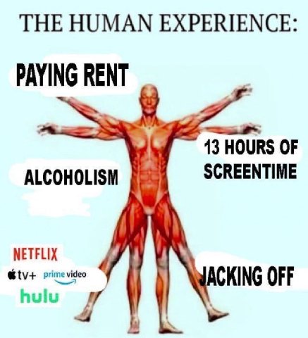 THE HUMAN EXPERIENCE: PAYING 13 HOURS OF SCREENTIME ALCOHOLISM NETFLIX primevi ideo ACKING OFF hulu у