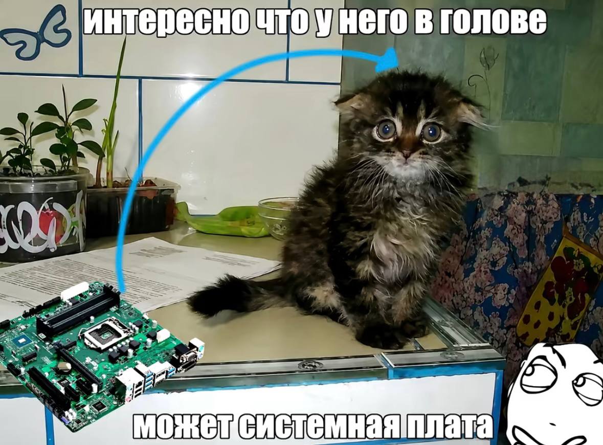 интересно что у него в голове