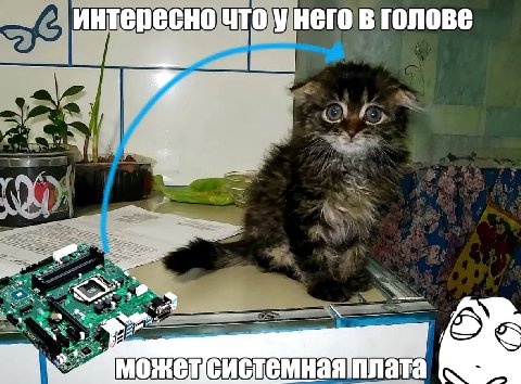 интересно что у него в голове