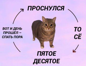 ВОТИ ДЕНЬ ПРОШЁЛ ТО СПАТЬ ПОРА ПЯТОЕ ДЕСЯТОЕ