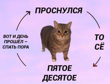 ВОТИ ДЕНЬ ПРОШЁЛ ТО СПАТЬ ПОРА ПЯТОЕ ДЕСЯТОЕ
