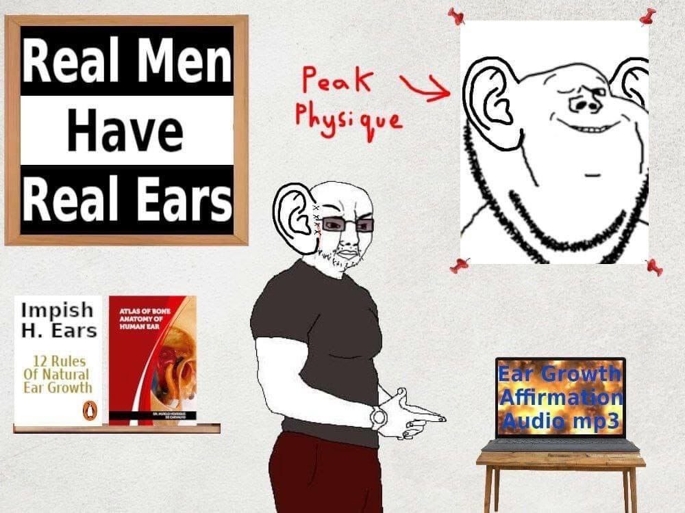 Real Men Peak Phys Have Real Ears 4 HUMAN EAR AMATOMY OF