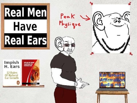 Real Men Peak Phys Have Real Ears 4 HUMAN EAR AMATOMY OF