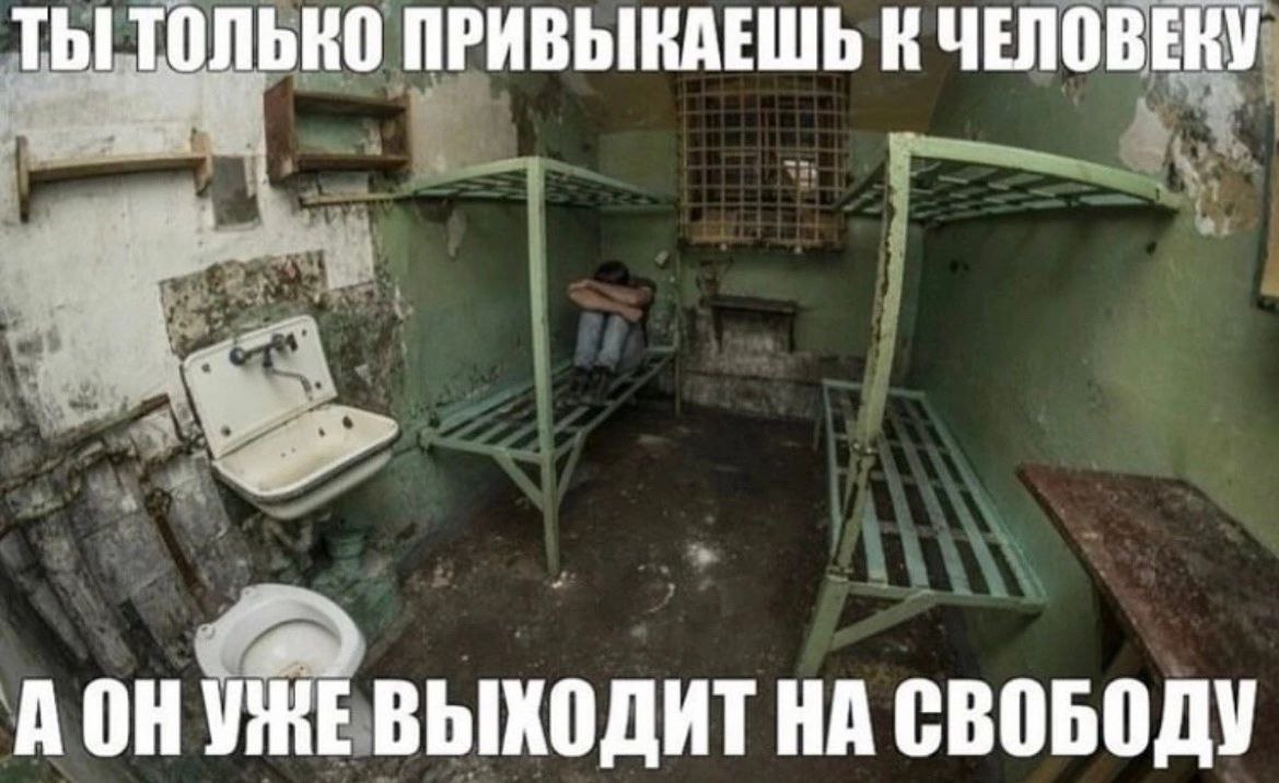 ТЫ ТОЛЬКО ПРИВЫКАЕШЬ К ЧЕЛОВЕКУ A ВЫХОДИТ НА СВОБОДУ