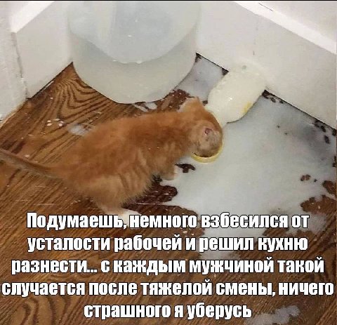 Подумаешь’немного взбесился усталости рабочей и решил кухню разнести... с каждым мужчиной такой случается после тяжелой смены, ничего страшного я уберусь