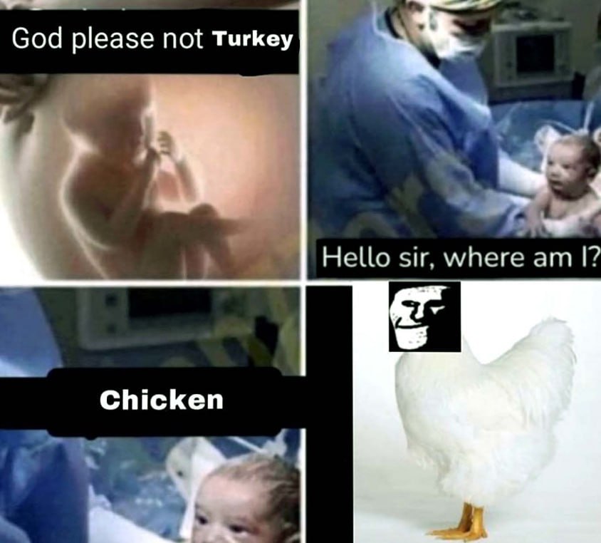 God please not Turkey Hello sir, where I? Chicken