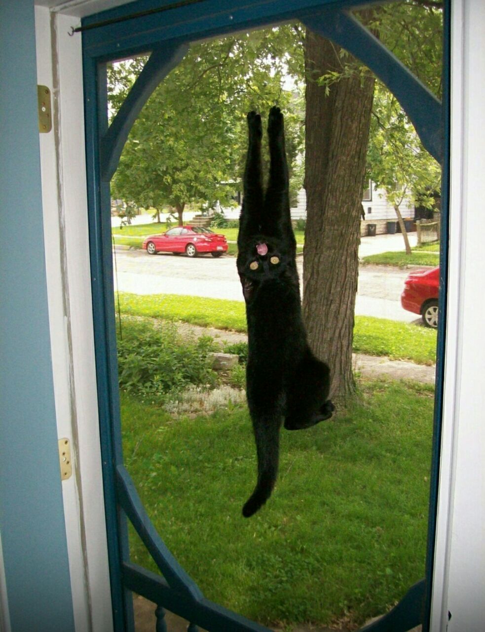 a