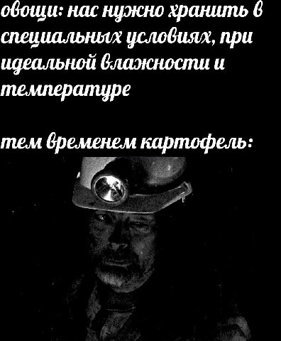 обоши: нас нужно хранить 6 специальных условиях, при идеальной влажности и темлературе тем временем картофель: 4