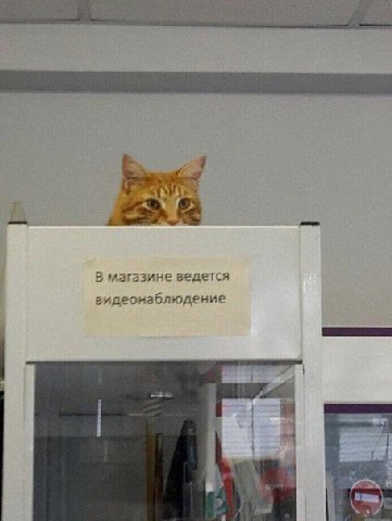 В магазине ведется видеонаблюдение