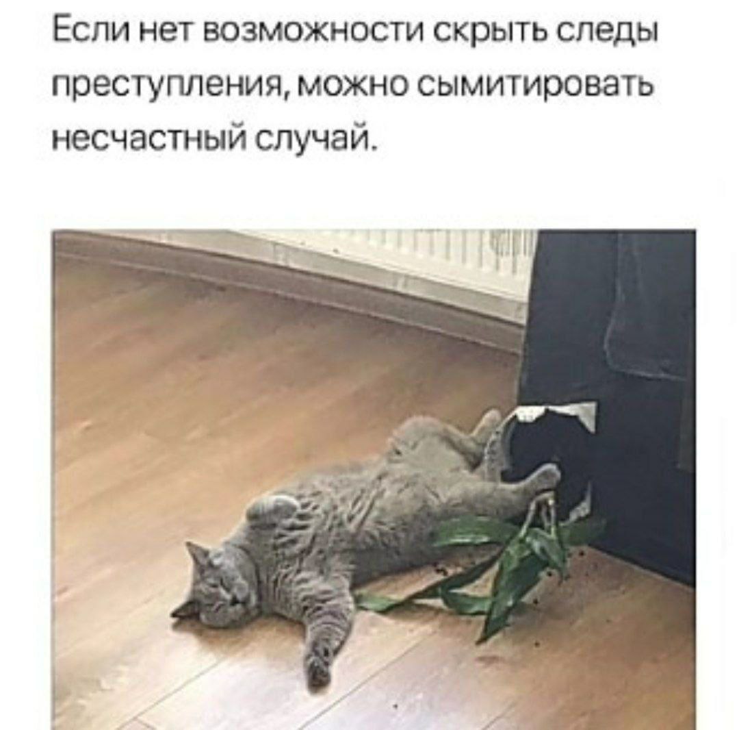 Если нет возможности скрыть следы преступления, можно сымитировать несчастный случай.