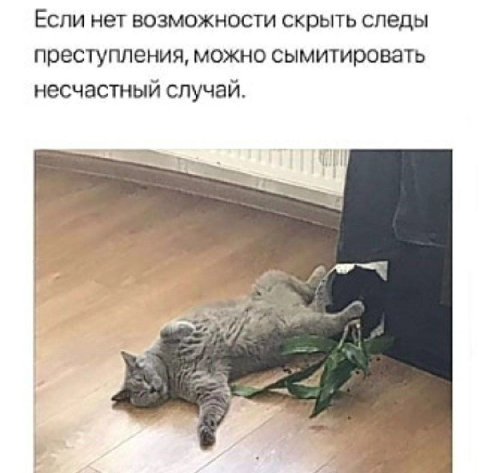 Если нет возможности скрыть следы преступления, можно сымитировать несчастный случай.