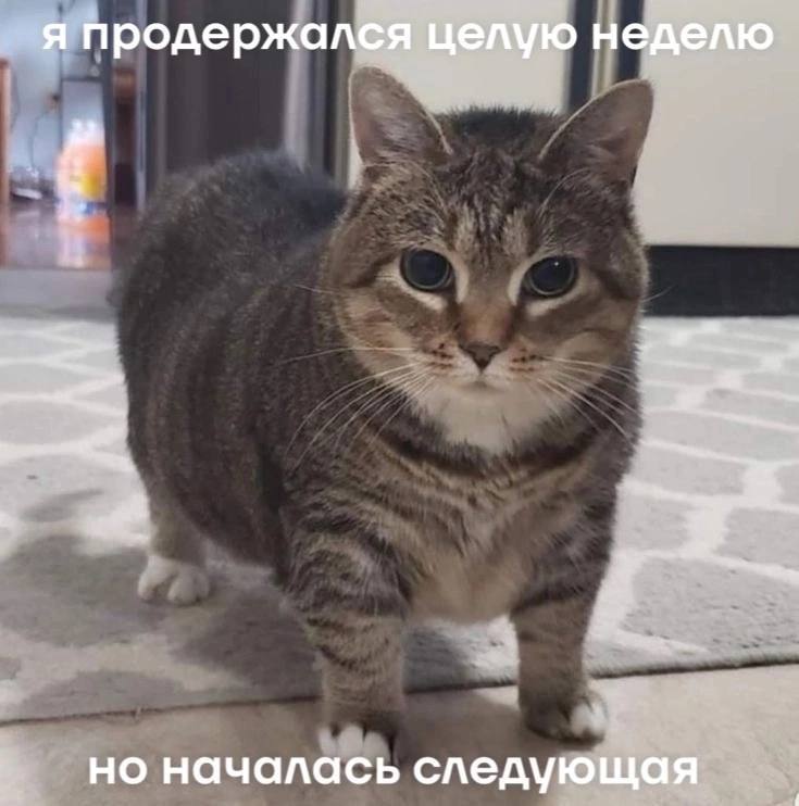я продержался целую неделю но началась следующая