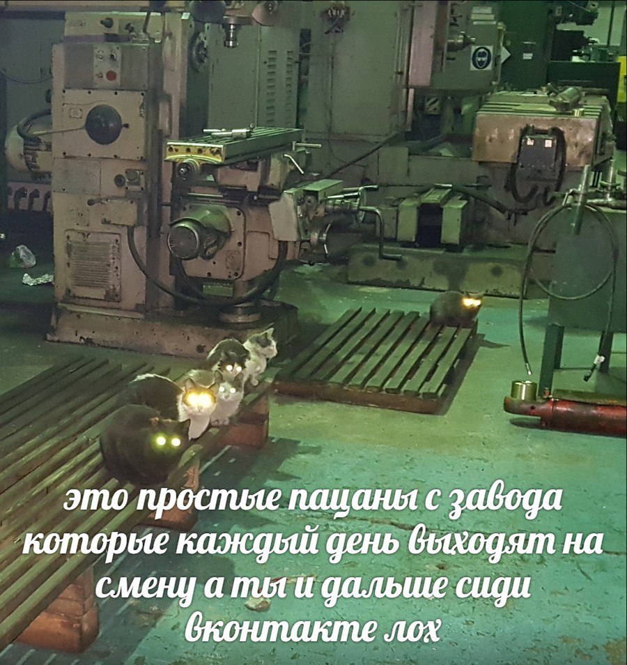 at это простые пацаны с завода которые каждый день выходят на смену а тьги дальше сиди лох