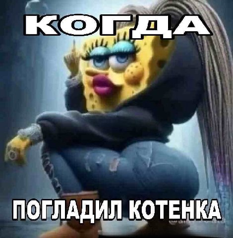 ПОГЛАДИЛ КОТЕНКА