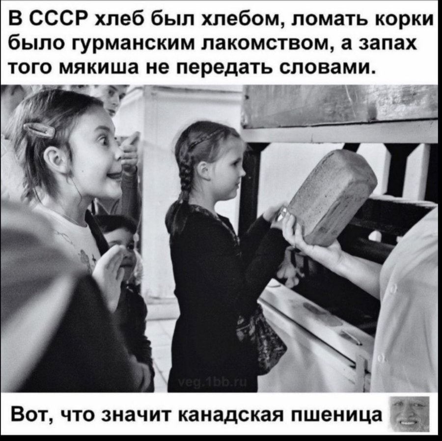 В СССР хлеб был хлебом, ломать корки было гурманским лакомством, а запах того мякиша не передать словами. 1 he 4 Вот, что значит канадская пшеница и