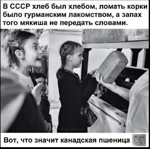 В СССР хлеб был хлебом, ломать корки было гурманским лакомством, а запах того мякиша не передать словами. 1 he 4 Вот, что значит канадская пшеница и