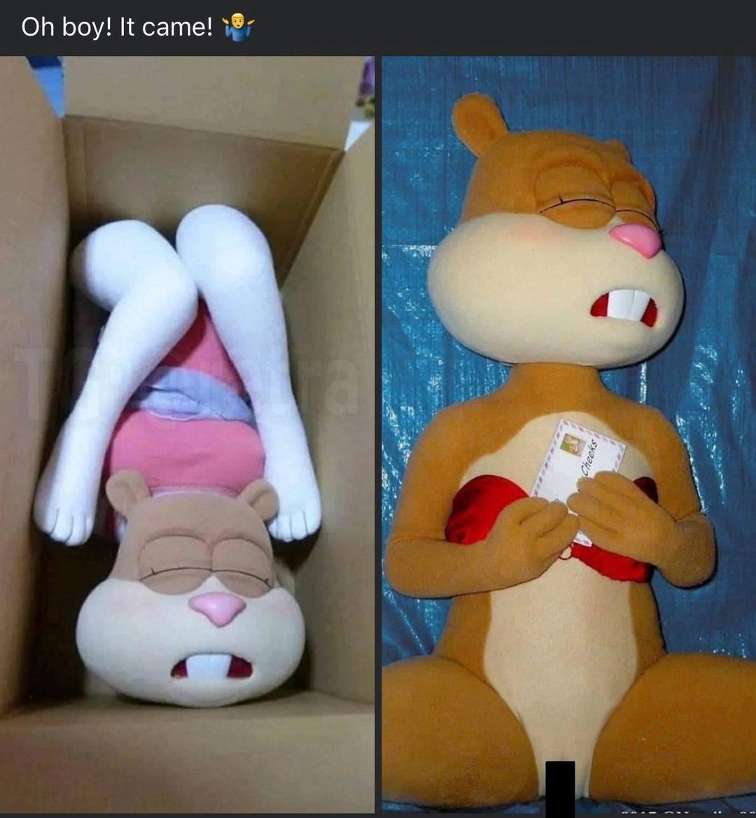 boy! It came!
