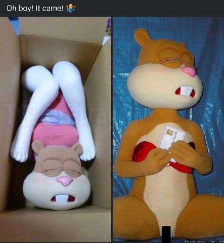 boy! It came!