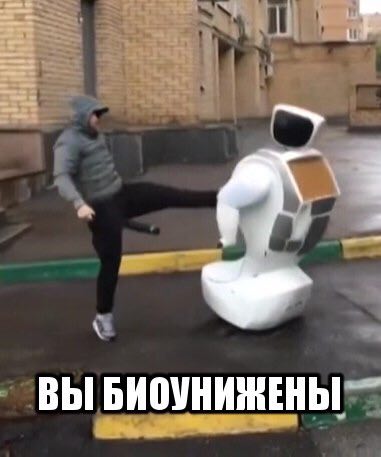 ВЫ БИОУНИЖЕНЫ