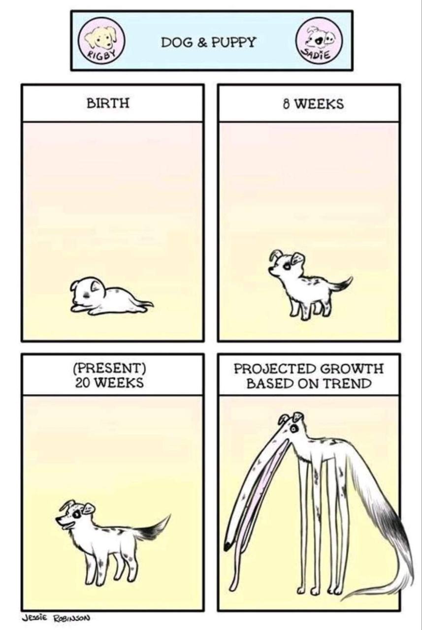 DOG PUPPY 2 (PRESENT) PROJECTED GROWTH 20 WEEKS BASED ON TREND У