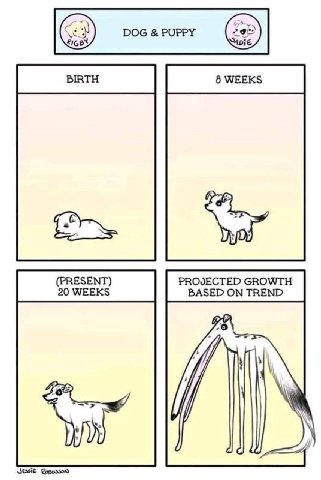 DOG PUPPY 2 (PRESENT) PROJECTED GROWTH 20 WEEKS BASED ON TREND У