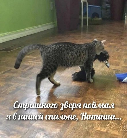 поймал я внаей спальне, Наташи...