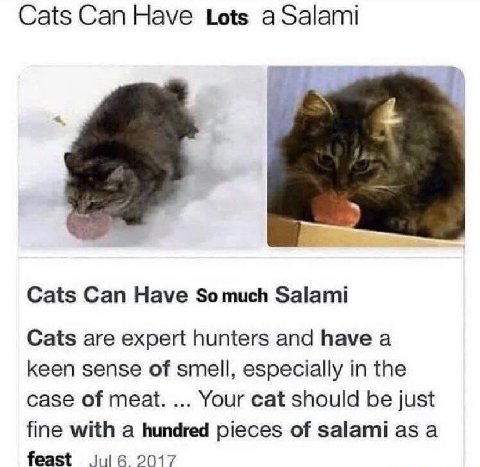 Cats Can Have Lots а Salami Cats Can Have Somuch Salami Cats are expert hunters and have a keen sense of smell, especially in the case of meat. Your cat should be just fine with a hundred pieces of sa